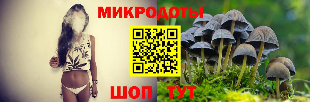 Галлюциногенные грибы MAGIC MUSHROOMS Вологда